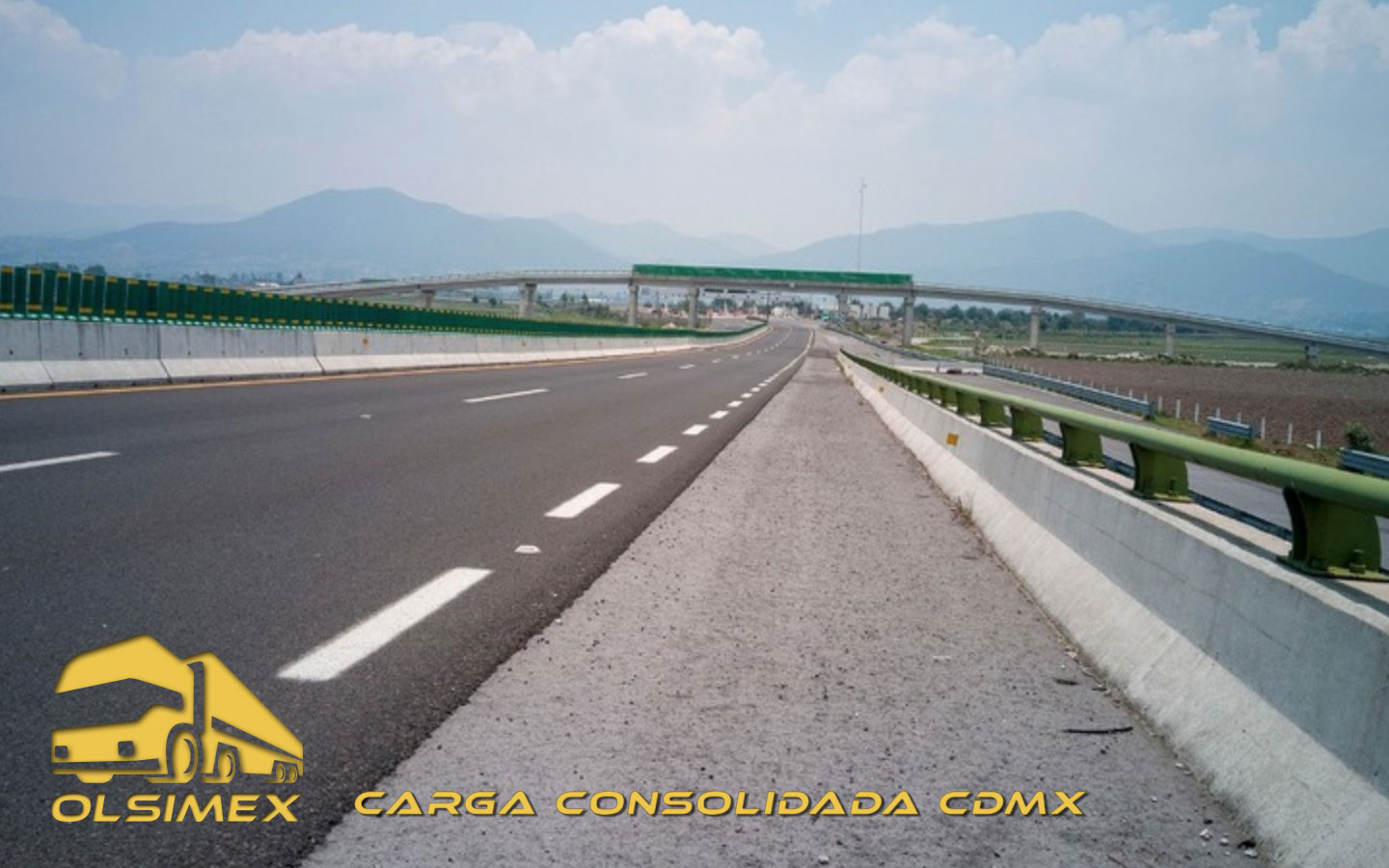 Carga Consolidada CDMX