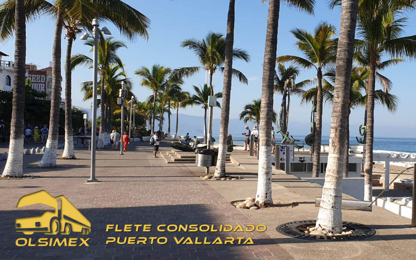 Flete Consolidado Puerto Vallarta.jpg