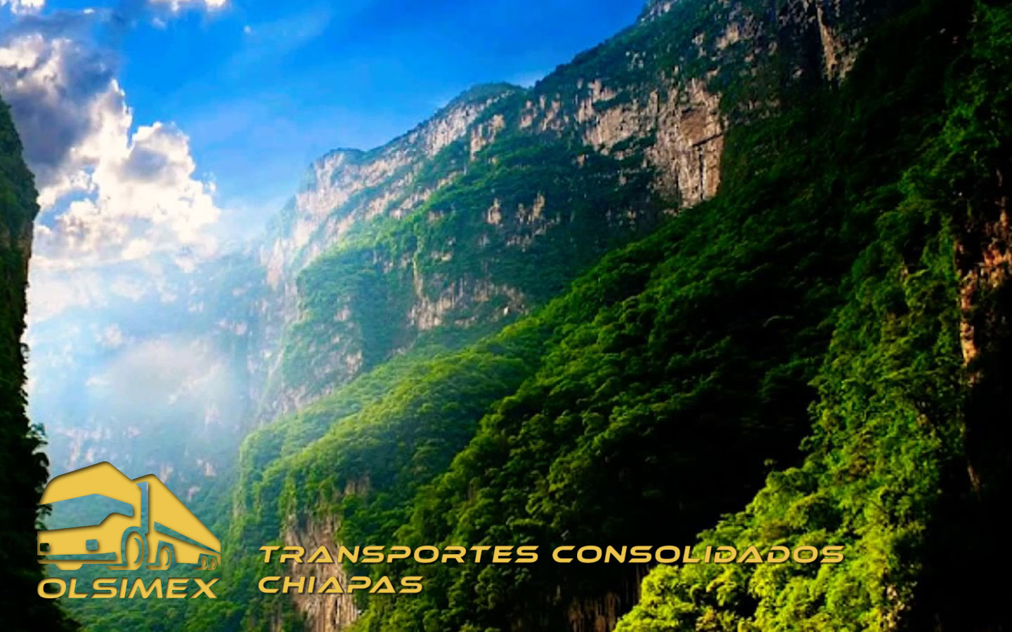 Transportes Consolidados Chiapas